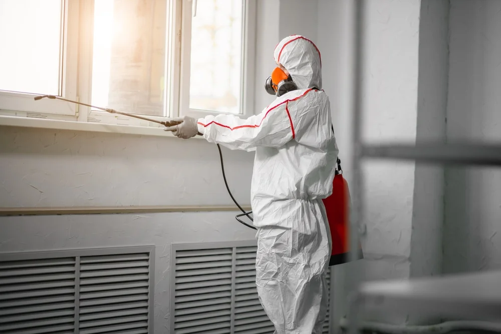 Professional mold remediation services in Bowman, GA